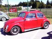 Beetle Show Rioz (37)